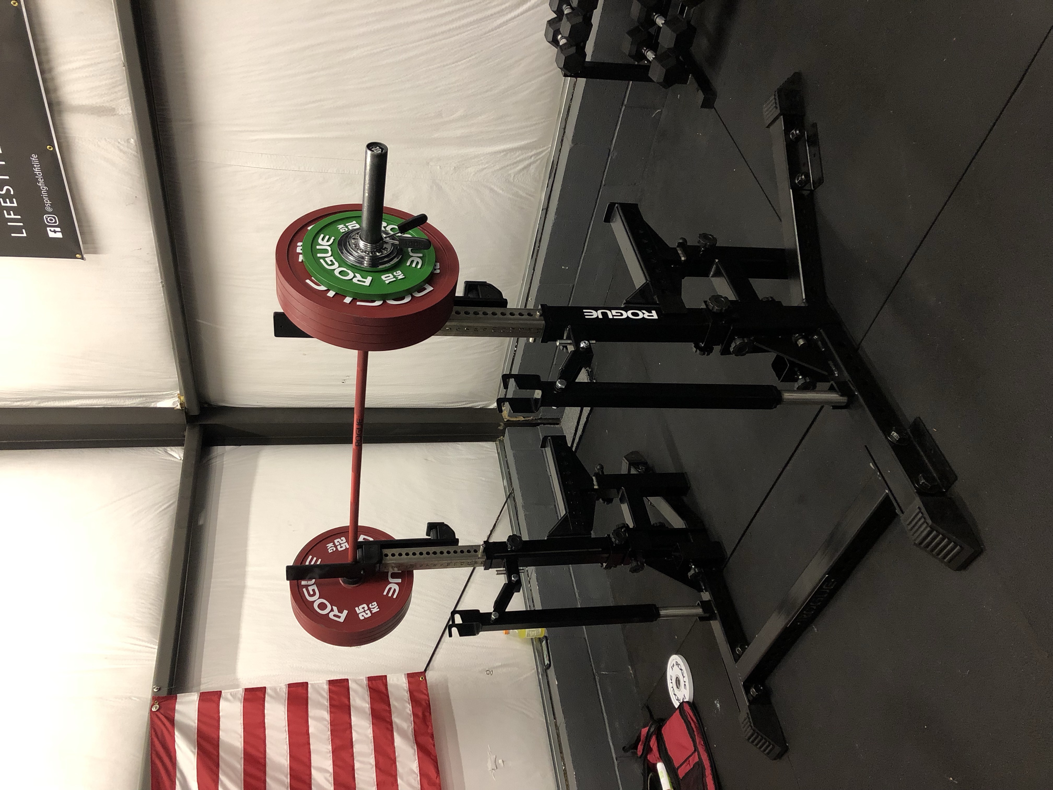 Rogue Rack Set Rogue Combo Rack Review - Progressive Resistance Systems